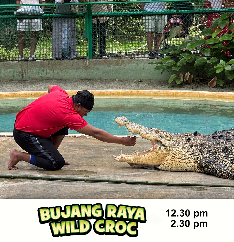 Bujang Raya